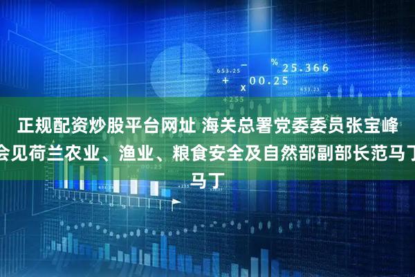正规配资炒股平台网址 海关总署党委委员张宝峰会见荷兰农业、渔业、粮食安全及自然部副部长范马丁