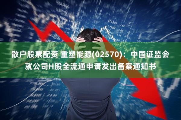散户股票配资 重塑能源(02570):中国证监会就公司H股全流通申请发出备案通知书