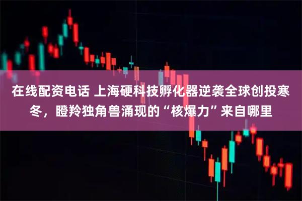 在线配资电话 上海硬科技孵化器逆袭全球创投寒冬，瞪羚独角兽涌现的“核爆力”来自哪里